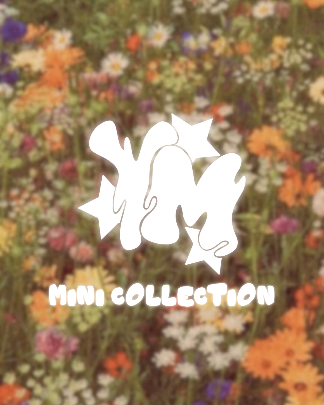 YM MINI COLLECTION
